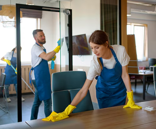 expert pro cleaning services